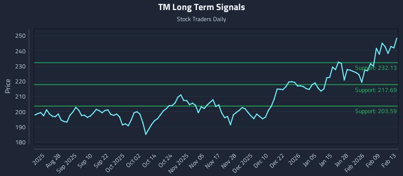 TM Long Term Analysis for February 16 2026