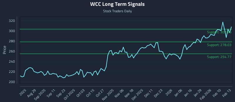 WCC Long Term Analysis for February 17 2026