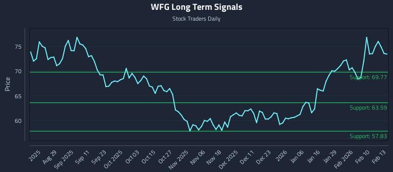 WFG Long Term Analysis for February 17 2026
