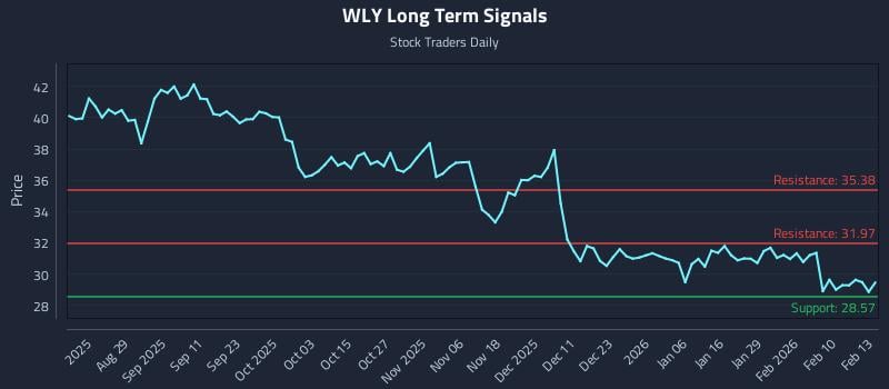 WLY Long Term Analysis for February 17 2026 WLY Long Term Analysis for February 17 2026