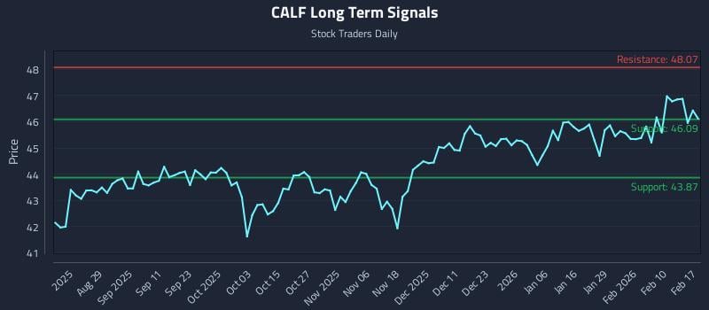 CALF Long Term Analysis for February 17 2026 CALF Long Term Analysis for February 17 2026