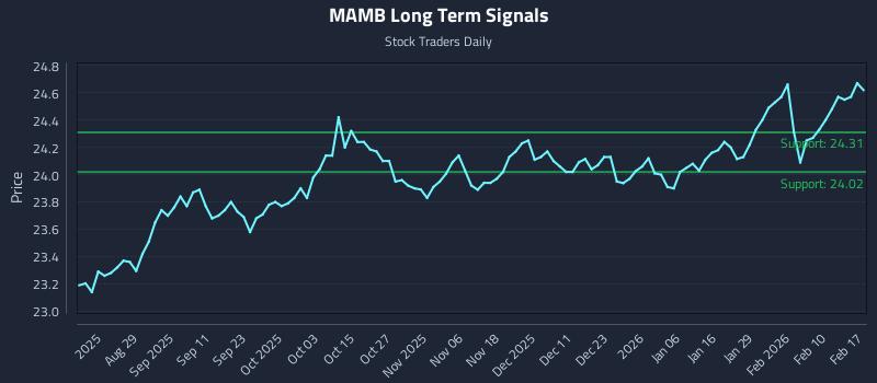 MAMB Long Term Analysis for February 17 2026