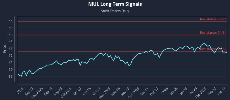NJUL Long Term Analysis for February 17 2026 NJUL Long Term Analysis for February 17 2026