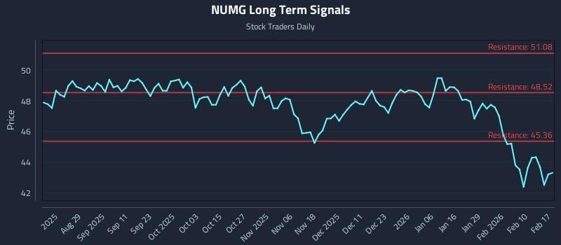 NUMG Long Term Analysis for February 17 2026 NUMG Long Term Analysis for February 17 2026