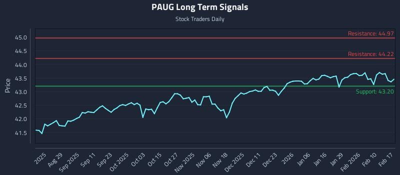 PAUG Long Term Analysis for February 17 2026