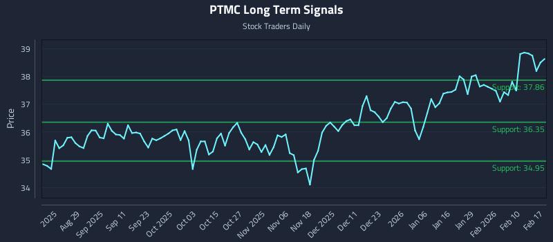 PTMC Long Term Analysis for February 17 2026 PTMC Long Term Analysis for February 17 2026