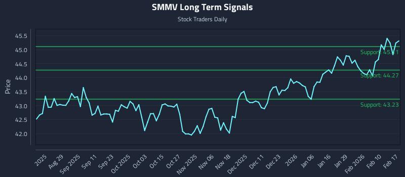 SMMV Long Term Analysis for February 17 2026 SMMV Long Term Analysis for February 17 2026