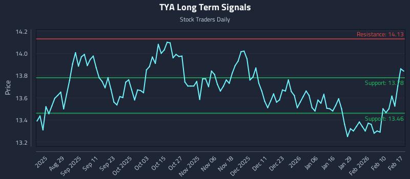 TYA Long Term Analysis for February 17 2026 TYA Long Term Analysis for February 17 2026