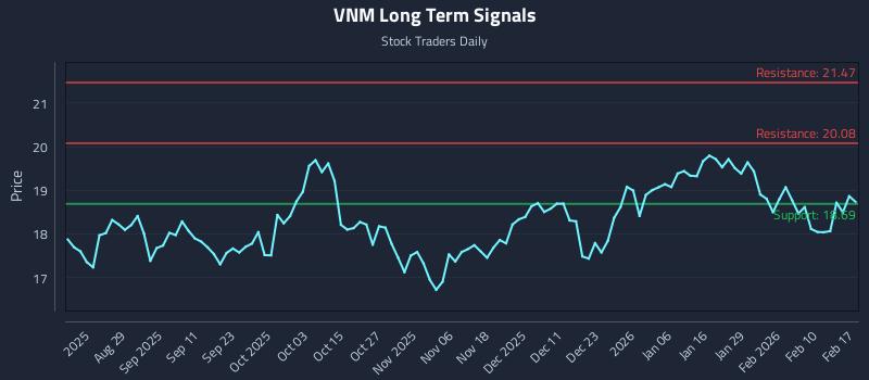 VNM Long Term Analysis for February 17 2026