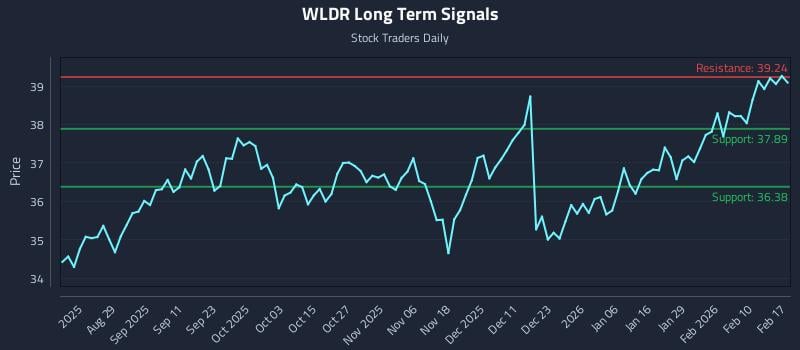 WLDR Long Term Analysis for February 17 2026