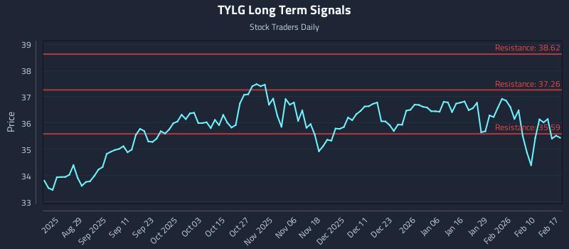 TYLG Long Term Analysis for February 17 2026