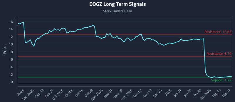 DOGZ Long Term Analysis for February 18 2026