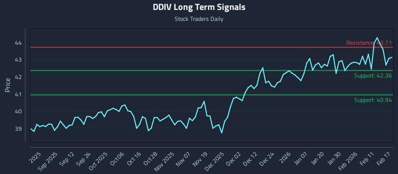 DDIV Long Term Analysis for February 18 2026 DDIV Long Term Analysis for February 18 2026