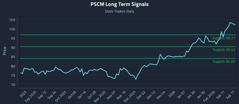PSCM Long Term Analysis for February 18 2026