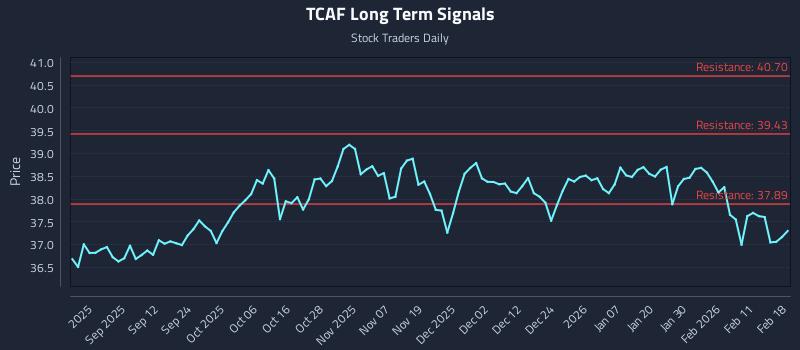 TCAF Long Term Analysis for February 18 2026