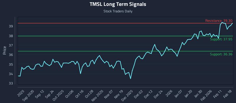 TMSL Long Term Analysis for February 18 2026