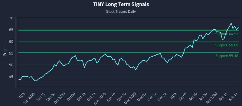 TINY Long Term Analysis for February 18 2026