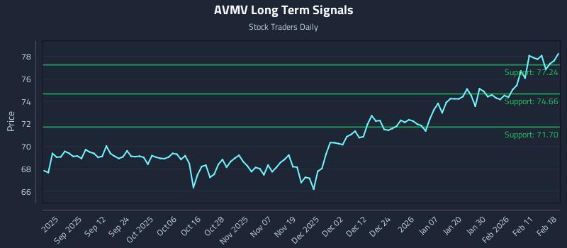 AVMV Long Term Analysis for February 18 2026