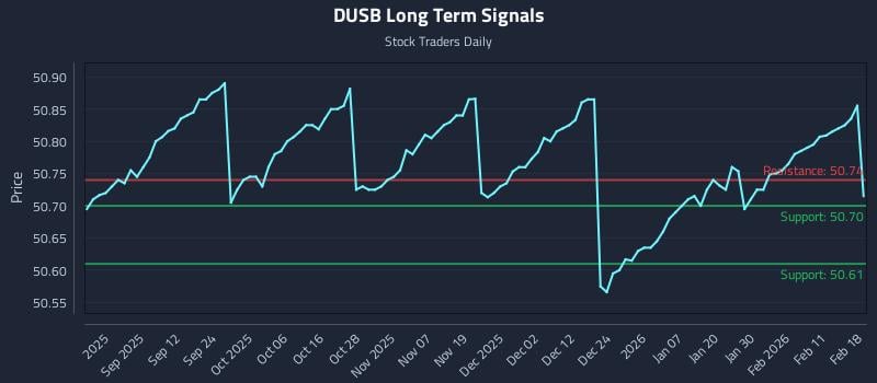 DUSB Long Term Analysis for February 18 2026