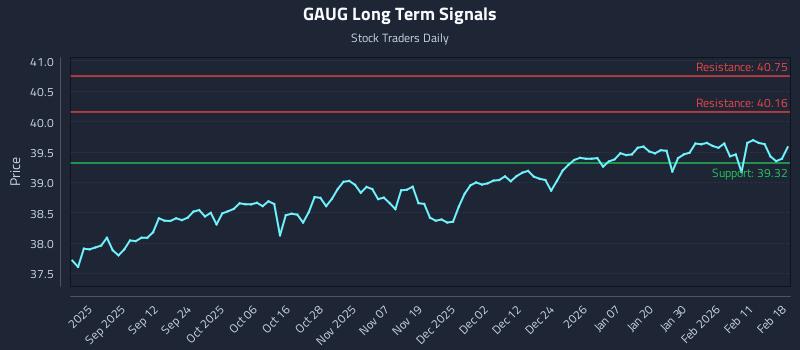 GAUG Long Term Analysis for February 18 2026