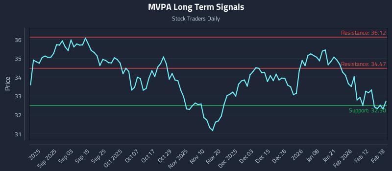 MVPA Long Term Analysis for February 19 2026
