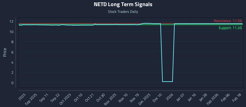 NETD Long Term Analysis for February 19 2026