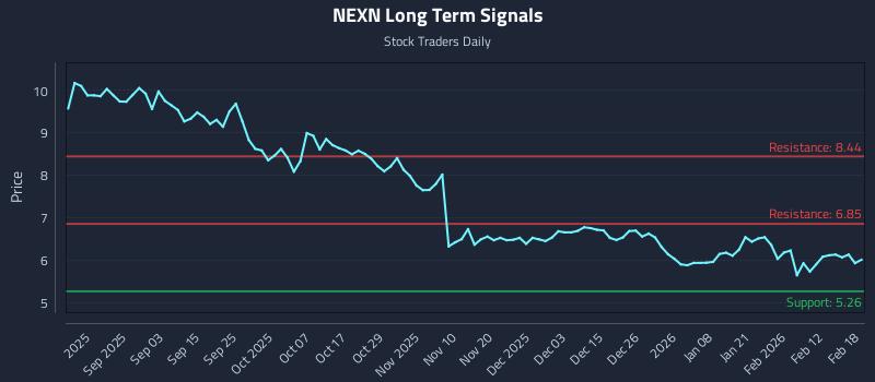 NEXN Long Term Analysis for February 19 2026