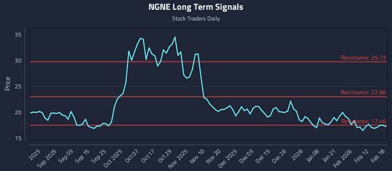 NGNE Long Term Analysis for February 19 2026