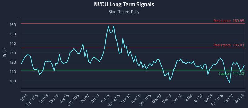 NVDU Long Term Analysis for February 19 2026