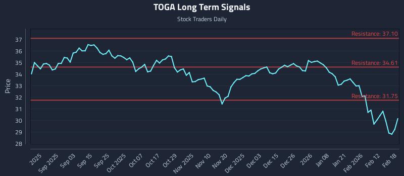 TOGA Long Term Analysis for February 19 2026 TOGA Long Term Analysis for February 19 2026