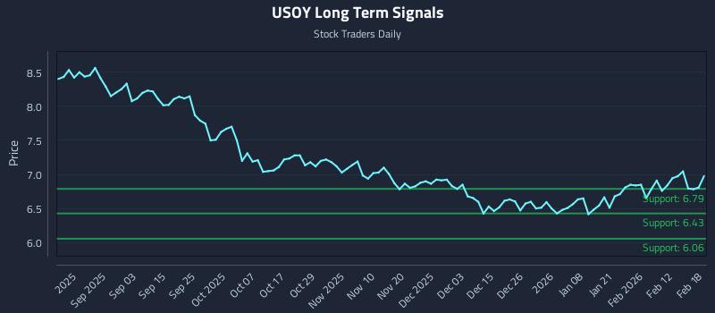 USOY Long Term Analysis for February 19 2026