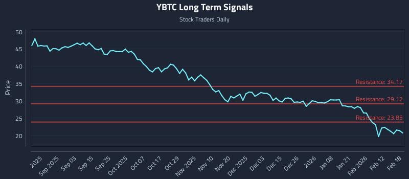 YBTC Long Term Analysis for February 19 2026