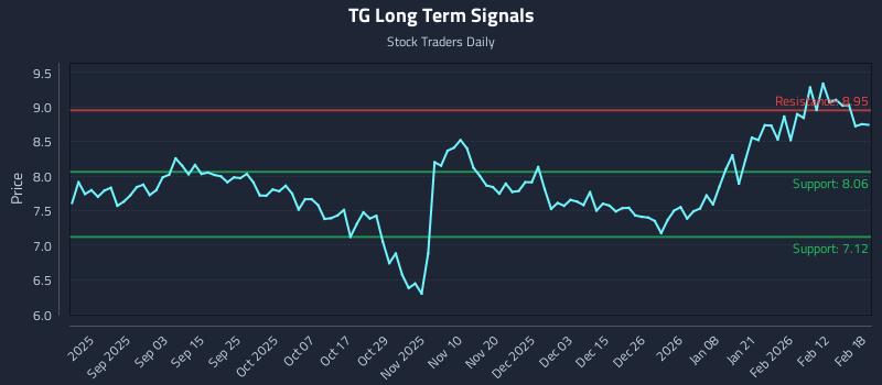 TG Long Term Analysis for February 19 2026 TG Long Term Analysis for February 19 2026