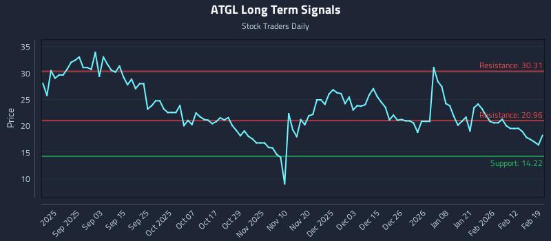 ATGL Long Term Analysis for February 19 2026