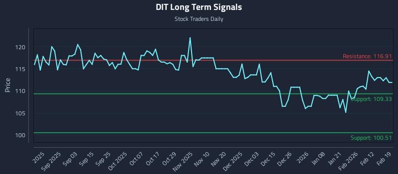 DIT Long Term Analysis for February 19 2026