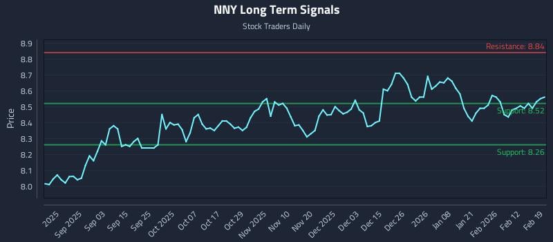 NNY Long Term Analysis for February 19 2026