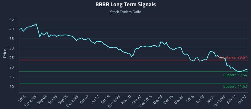 BRBR Long Term Analysis for February 19 2026 BRBR Long Term Analysis for February 19 2026