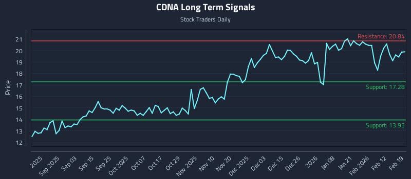 CDNA Long Term Analysis for February 19 2026