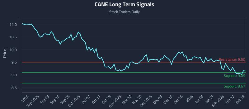 CANE Long Term Analysis for February 19 2026