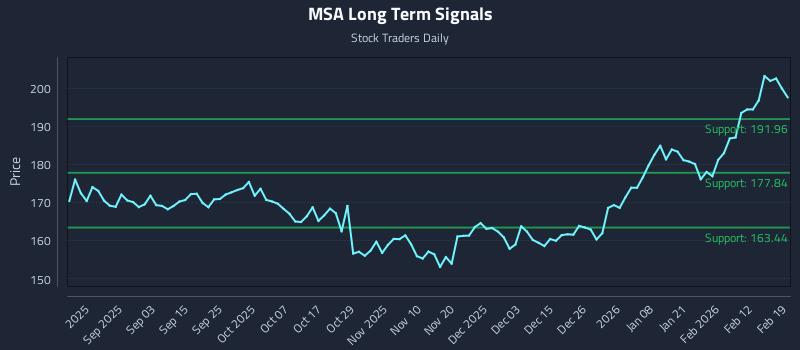 MSA Long Term Analysis for February 19 2026 MSA Long Term Analysis for February 19 2026