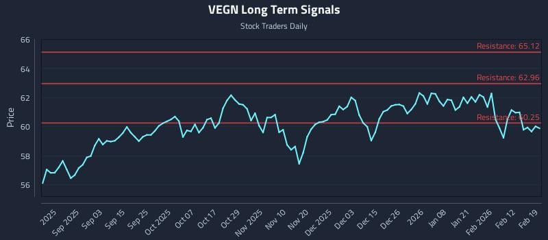 VEGN Long Term Analysis for February 19 2026