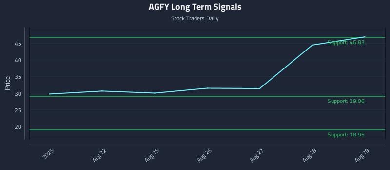 AGFY Long Term Analysis for February 19 2026 AGFY Long Term Analysis for February 19 2026
