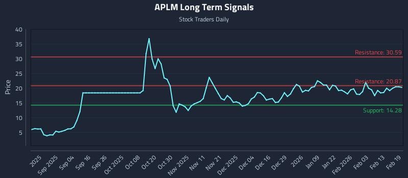 APLM Long Term Analysis for February 20 2026 APLM Long Term Analysis for February 20 2026