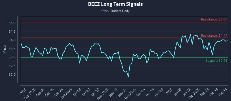 BEEZ Long Term Analysis for February 20 2026
