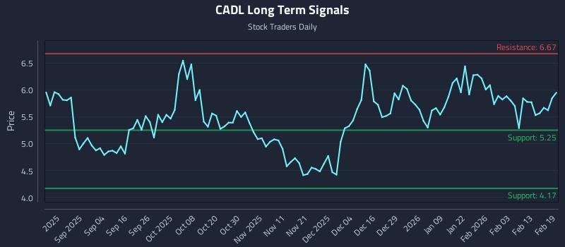 CADL Long Term Analysis for February 20 2026