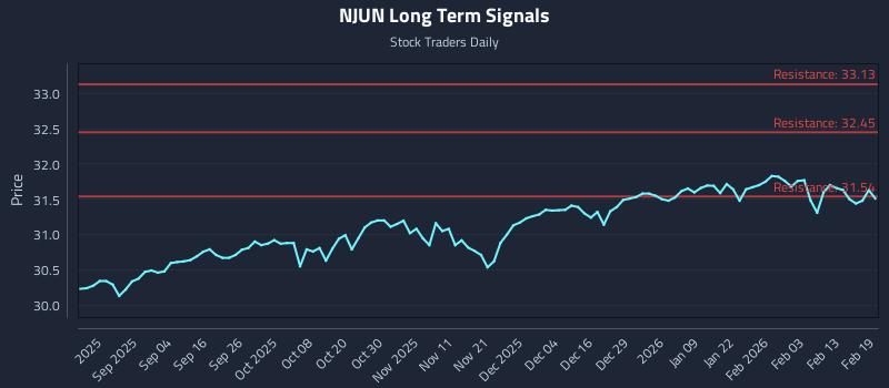 NJUN Long Term Analysis for February 20 2026