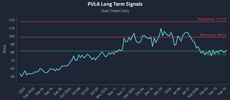 PVLA Long Term Analysis for February 20 2026 PVLA Long Term Analysis for February 20 2026