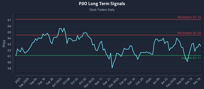 PJIO Long Term Analysis for February 20 2026