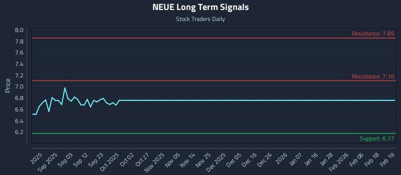 NEUE Long Term Analysis for February 20 2026 NEUE Long Term Analysis for February 20 2026