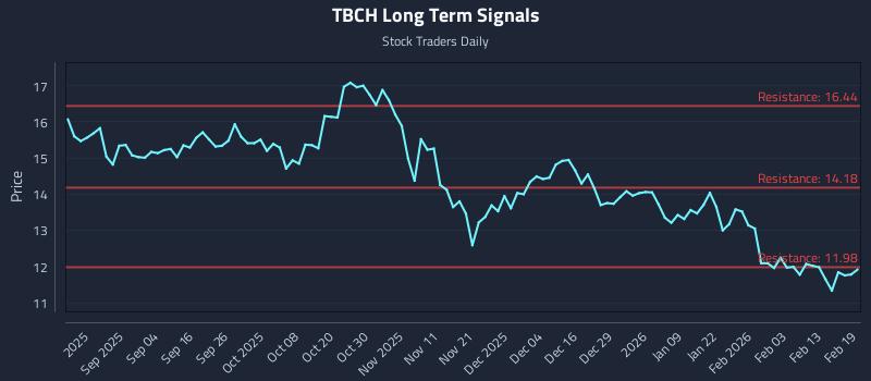TBCH Long Term Analysis for February 20 2026 TBCH Long Term Analysis for February 20 2026
